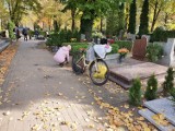 Leszno. Wielkie sprzątanie na cmentarzu w Lesznie przy Kąkolewskiej przed Wszystkich Świętych 2021. Ile kosztuje płatne sprzątanie grobów? 