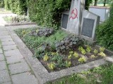 Racibórz: Wizyta gubernatora Petersburga. Złożył kwiaty na cmentarzu radzieckim