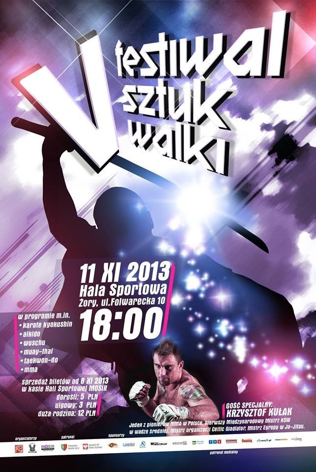 Festiwal Sztuk Walki Żory 2013: Wiele atrakcji!