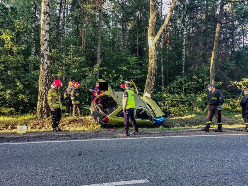 Powiat bełchatowski. Samochód uderzył w drzewo. Kierowca był pijany