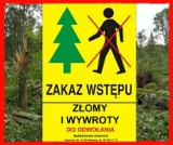 Zakaz wstępu do lasu w związku z połamanymi drzewami