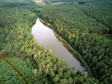 Jezioro Okoniowe z lotu ptaka. Obejrzyj wyjątkowe fotografie wielkopolskiego jeziora