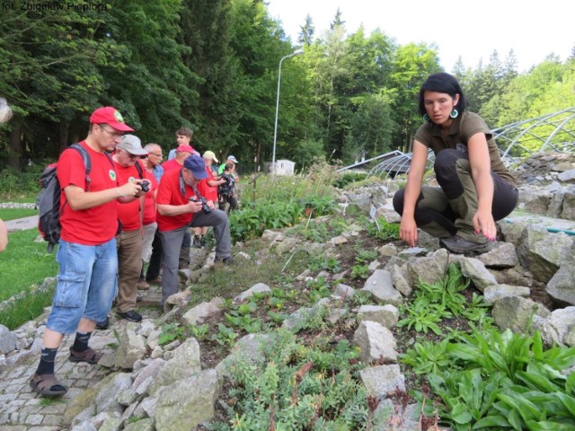 Zdjęcie ze szkolenia botanicznego przewodników KPN z poprzedniej edycji