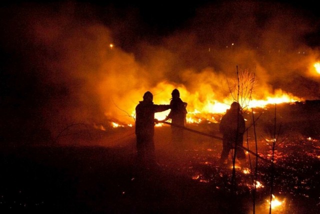 Wiosną, każdego roku, plagą są pożary traw. Zdjęcie pożaru w Skokach