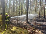 Gmina Pruszcz Gdański. Pożar lasu w Juszkowie. Leśnicy przypominają o bezpieczeństwie w lesie |ZDJĘCIA