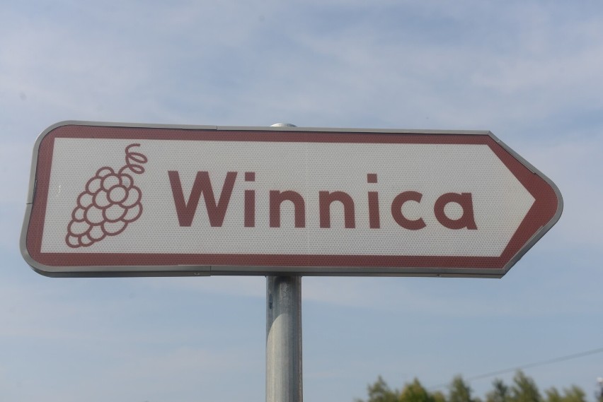 Lubuskie winnice otwierają się na gości