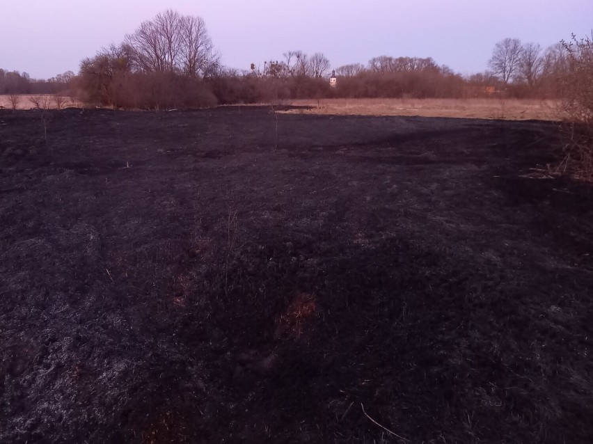 Trawy w Lipnie i powiecie wciąż płoną mimo licznych apeli [zdjęcia]