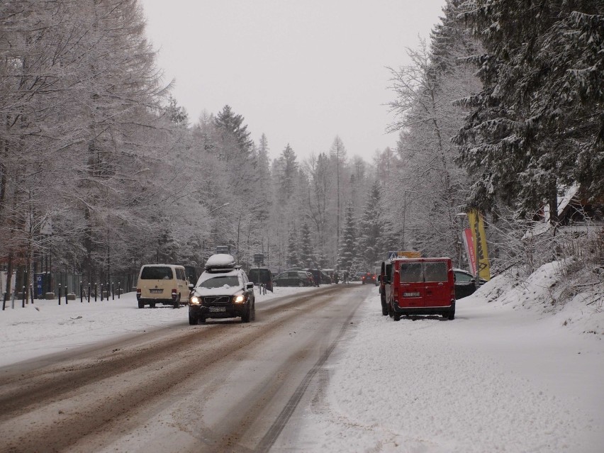 Zakopane znów zrobiło się białe. Cieszą się turyści [ZDJĘCIA]