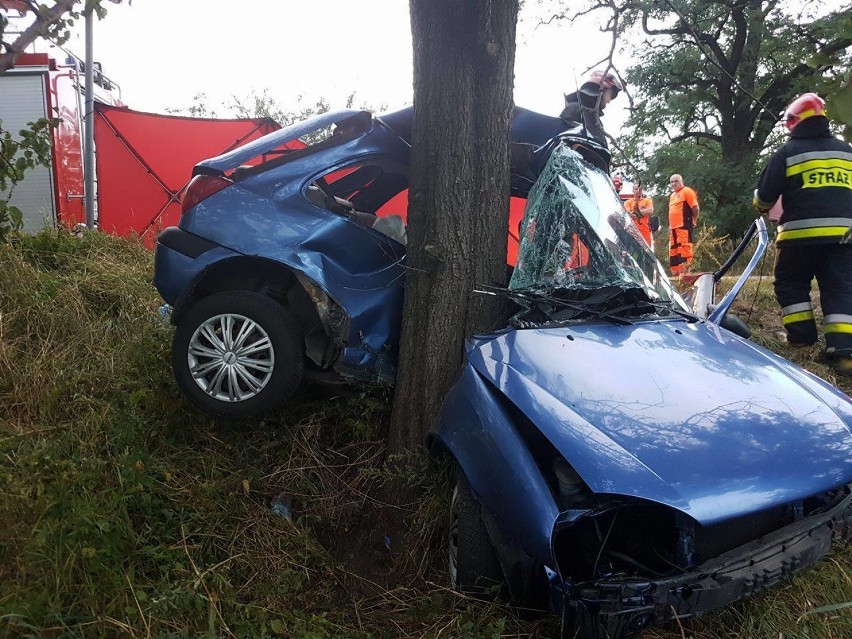 Wypadek drogowy na odcinku Wilkowiecko - Danków. Droga była zamknięta.