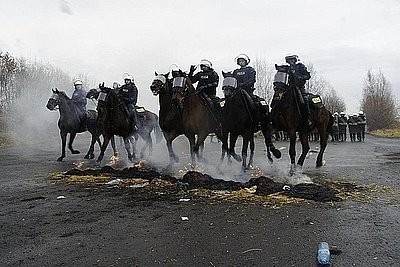 Policja konna w Chorzowie przeszła szkolenie. To trzecia jednostka konna w Polsce