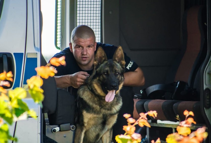 Pies policyjny Idan zaprowadził funkcjonariuszy prosto przed dom włamywaczy