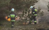 Pożar trawy i stodoły pod Bydgoszczą. Dwie osoby poszkodowane