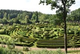 Arboretum Bramy Morawskiej w Raciborzu pełne jest nieodkrytych atrakcji. Zaczarowany Ogród, średniowieczny gród, pawie i wesoły osioł