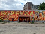 Urodzinowy mural ze szczecińskim paprykarzem odsłonięty [ZDJECIA]