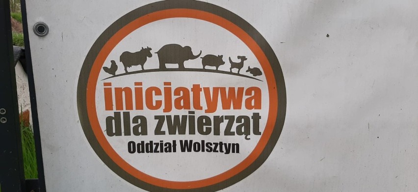 Zespół Szkół Zawodowych w Wolsztynie przekazał dziś 260 kg karmy dla schroniska