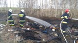 W Wielkanoc paliły się porzucone w Mechowie śmieci, płomienie zaczęły chwytać także las w gminie Puck | NADMORSKA KRONIKA POLICYJNA