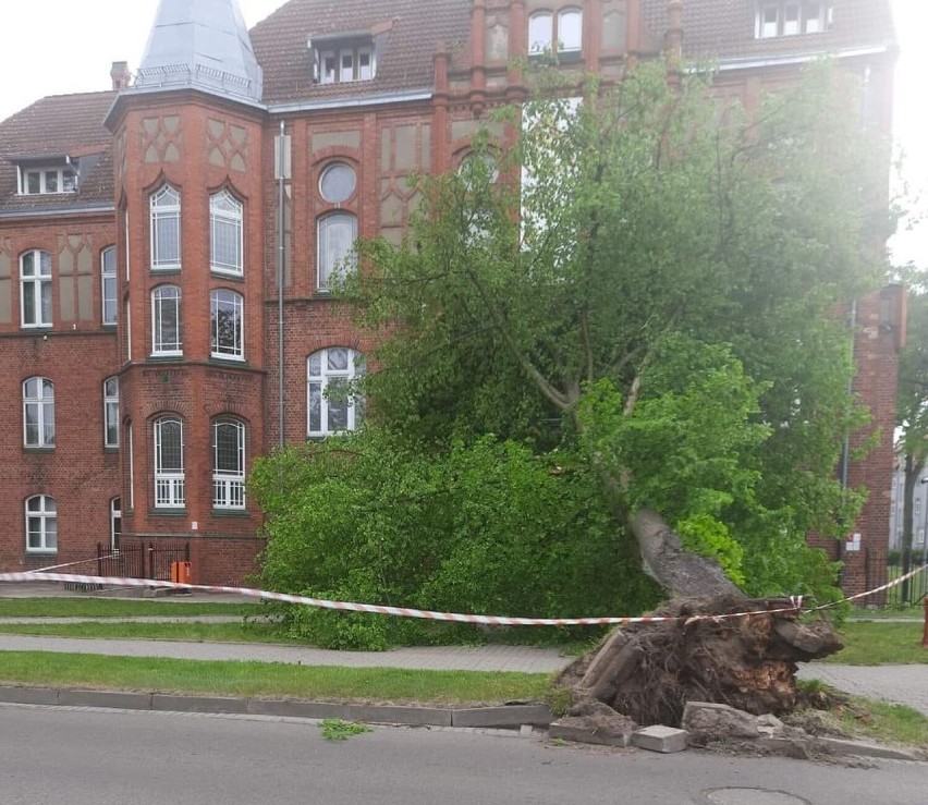 Skutki ostatniej nawałnicy - drzewo powalone na budynek...