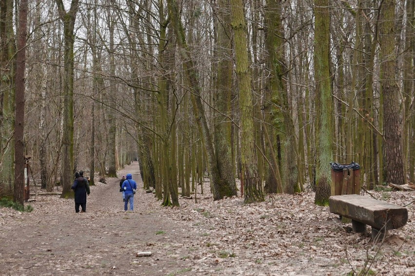 Las Kabacki znów otwarty. Zakończono usuwanie skutków...