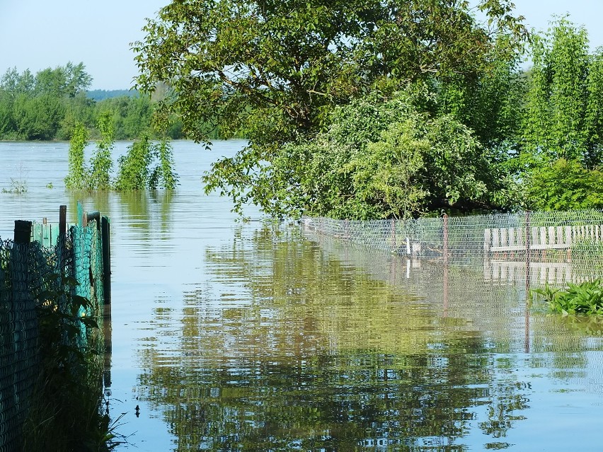 Zagrożenie powodziowe w Annopolu. Minister Trzaskowski: Sytuacja w powiecie jest pod kontrolą FOTO