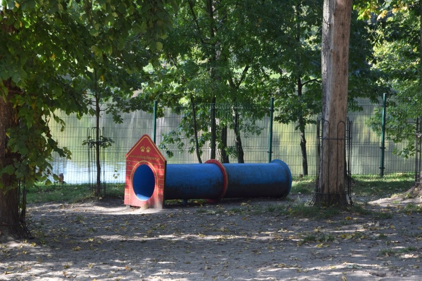 Plac zabaw dla psów w Kielcach utrapieniem dla sąsiadów [ZDJĘCIA]