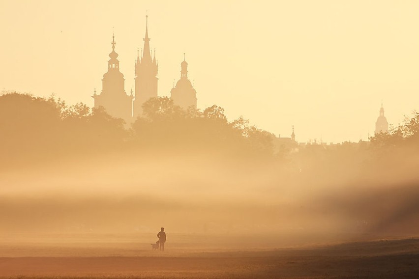 ...spójrz jaki piękny poranek...Fot.Wojtek Kaczówka