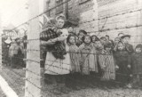 Czy alianci mogli wcześniej położyć kres masowej zagładzie w Auschwitz?