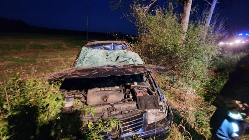 Groźne zderzenie samochodu z jeleniem pod Koszęcinem 
