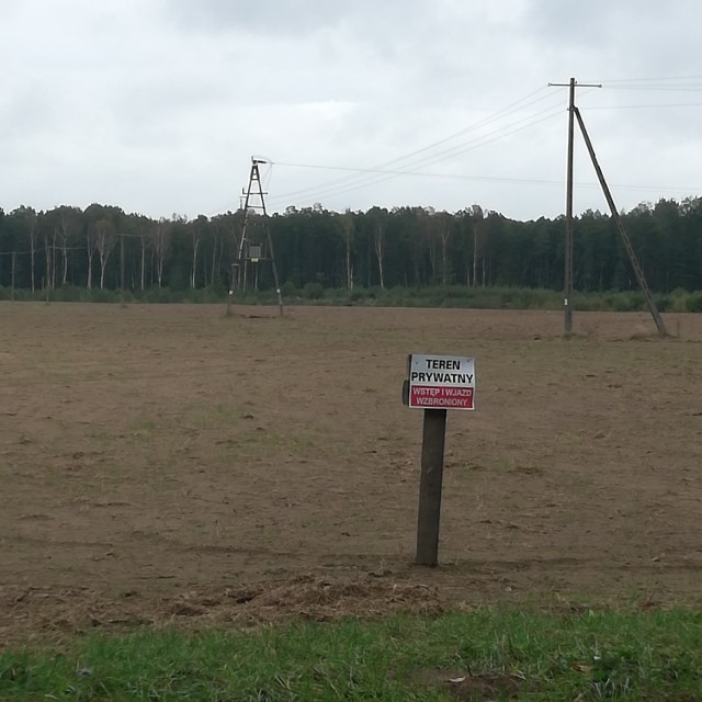 Tak wygląda teren budowy fermy kurzej w Kacprowie.