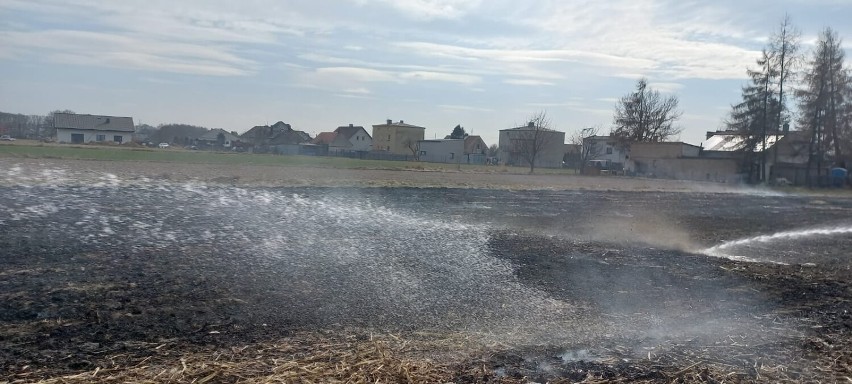 Plaga pożarów traw nie ominęła powiatu lublinieckiego