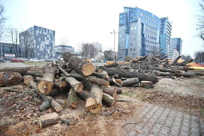 Wrocław. Zobacz zdjęcia z budowy torowiska tramwajowego na Nowy Dwór