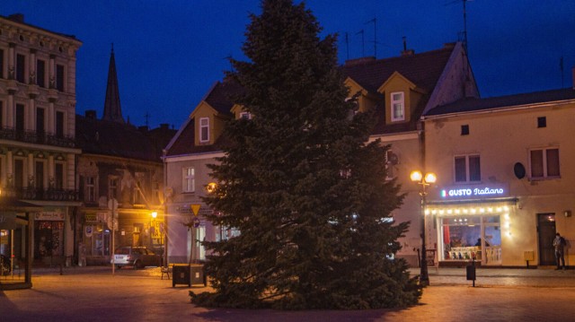 Choinka na Rynku w Inowrocławiu stanęła w tym roku 1 grudnia