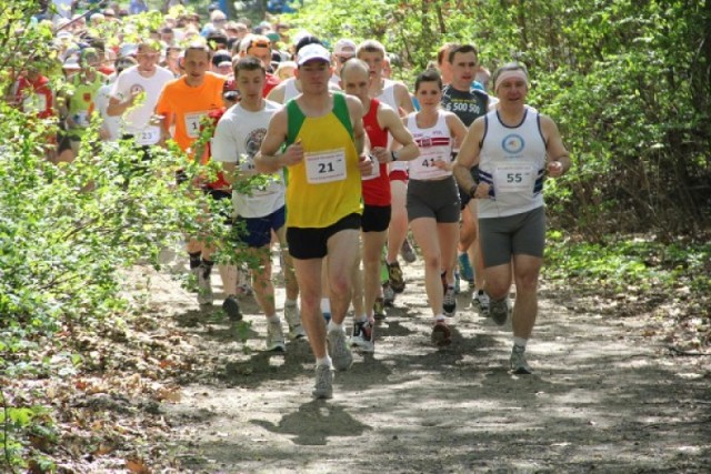 Licząca 11 km trasa, a na niej wiele przeszkód - tak wyglądać ...