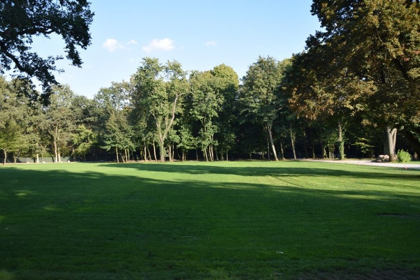 Najpiękniejsze ogrody w gminie Ostrów Wielkopolski
