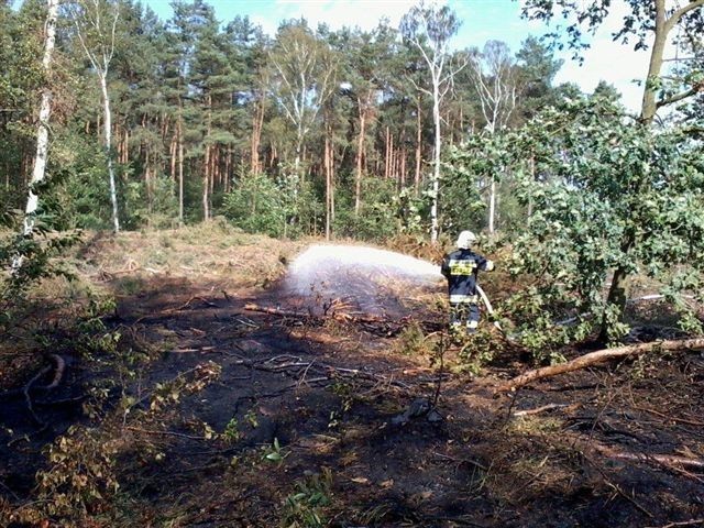 Leśnictwo Kuklinów - Pożar lasu pod Rębiechowem. ZDJĘCIA