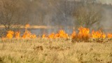 Nieustalony sprawca podpalił nieużytki w Tucholi