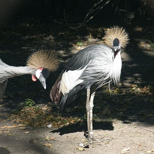 We wtorek łodzian zapraszają zoo, basen i palmiarnia