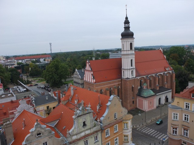 Opole. W mieście będą nowe nazwy ulic, m.in. Orła, Sokoła i Bielika. Gdzie?