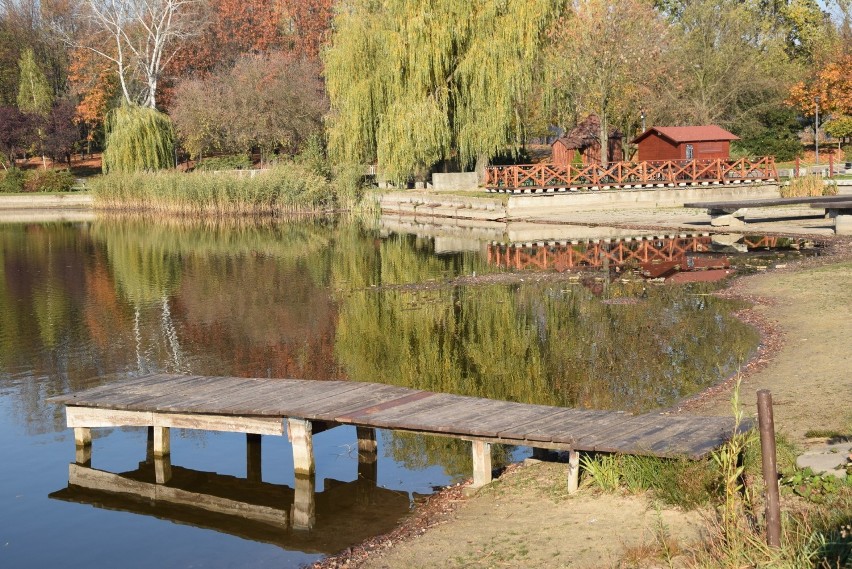 Jesień na Skałce Świętochłowice