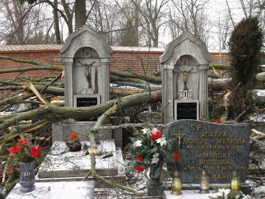 Kartuzy. Wichura powaliła drzewo na cmentarzu