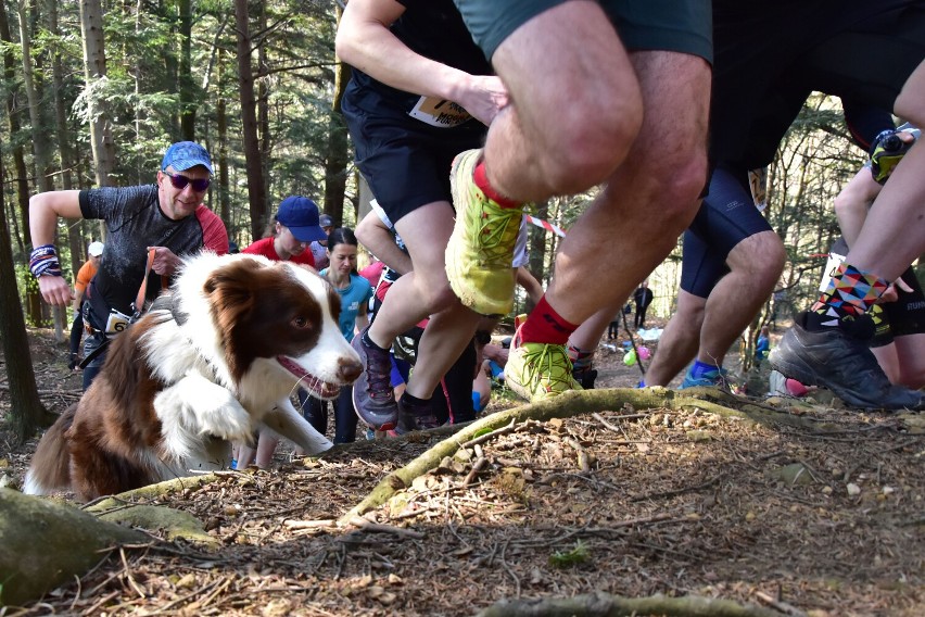 Bieg Mogiła Fun&Run w Rymanowie-Zdroju. Na starcie zawodnicy z Sanoka i Ustrzyk Dolnych [ZDJĘCIA]