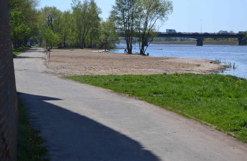 Malbork. Odtworzono dziką plażę nad Nogatem [ZDJĘCIA]