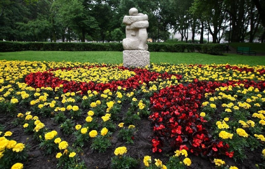 Kwiaty w Łodzi w parkach i na rondach