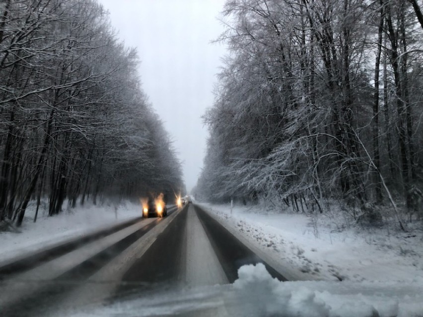 Trudne warunki pogodowe - zderzenia w Łapalicach i Rybakach oraz koń w rzece w Baninie