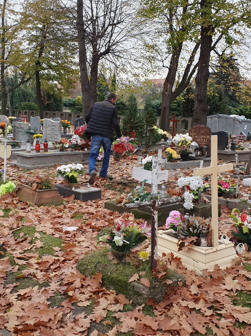 Legnica. Fundacja Marysieńka dekoruje chryzantemami zapomniane groby w Legnicy oraz powiecie legnickim i jaworskim. Piękna akcja! [ZDJĘCIA]