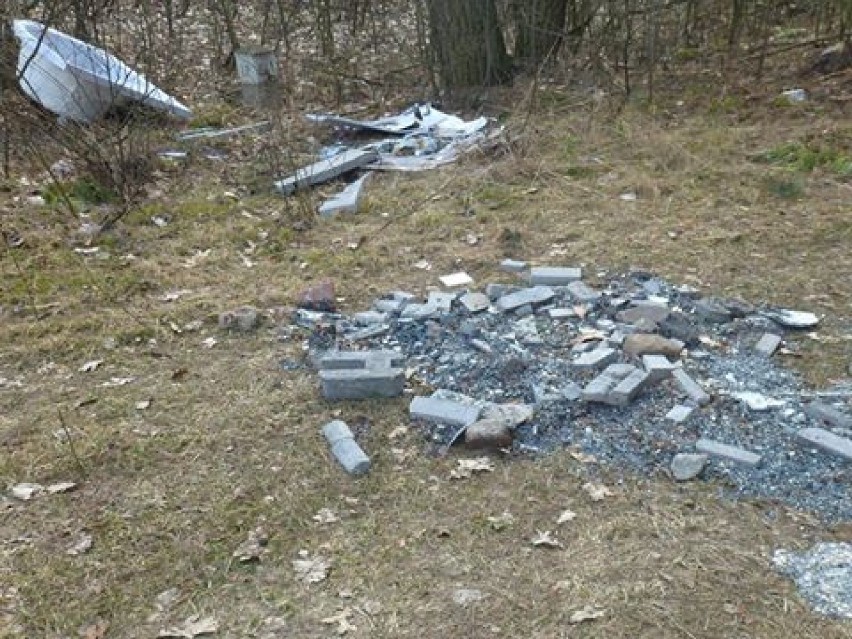 Śmieci w lesie nadleśnictwa Durowo