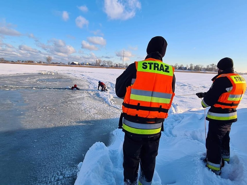 Zwierzęta zimą potrzebują pomocy. Strażacy z OSP i strażnicy gminni idą im z pomoca. Pomagają także gminy |ZDJĘCIA