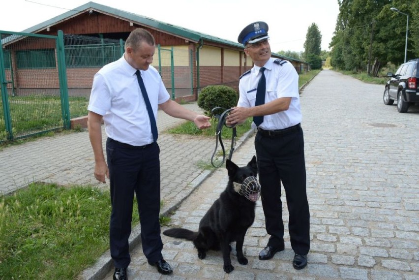 Policja we Wrocławiu ma nowego psa