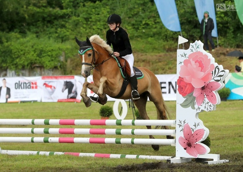 Sedina Horse Show 2017. Konne widowisko w strugach deszczu [zdjęcia]