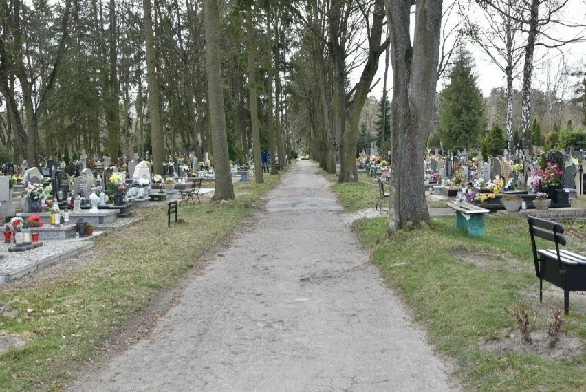 Zieleń na Cmentarzu Komunalnym w Malborku. Kto powinien płacić za usunięcie drzew i krzewów posadzonych przy grobach?
