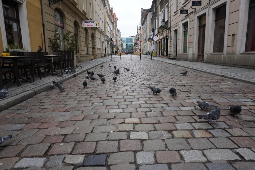 Na brak miejsc zielonych mogą też narzekać mieszkańcy...